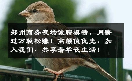郑州商务夜场诚聘模特，月薪过万轻松赚！高颜值优先，加入我们，共享奢华夜生活！