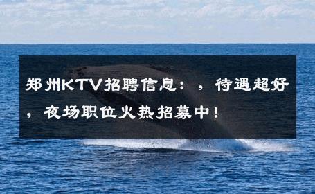 郑州KTV招聘信息：，待遇超好，夜场职位火热招募中！