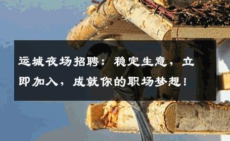 运城夜场招聘：稳定生意，立即加入，成就你的职场梦想！