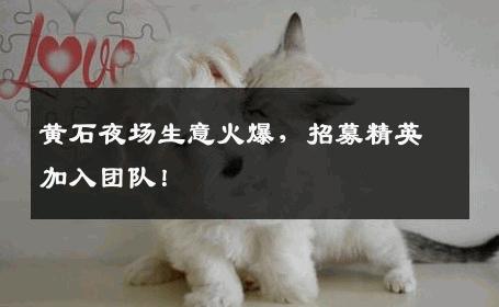 黄石夜场生意火爆，招募精英加入团队！