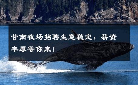 甘南夜场招聘生意稳定，薪资丰厚等你来！