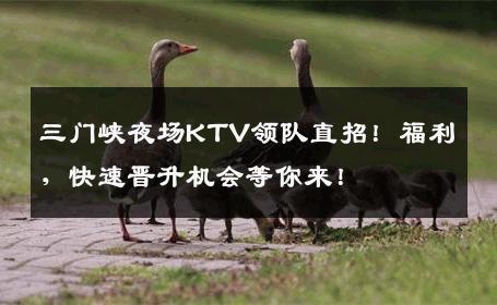 三门峡夜场KTV领队直招！福利，快速晋升机会等你来！