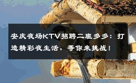 安庆夜场KTV招聘二班多多：打造精彩夜生活，等你来挑战！