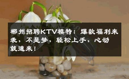 郴州招聘KTV模特：爆款福利来袭，不是梦，轻松上手，心动就速来！