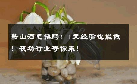 鞍山酒吧招聘：+无经验也能做！夜场行业等你来！