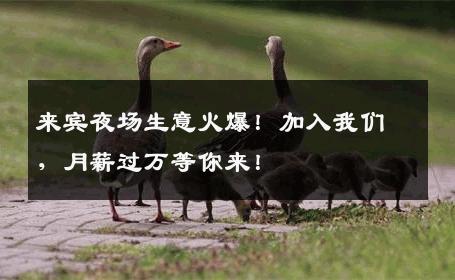 来宾夜场生意火爆！加入我们，月薪过万等你来！