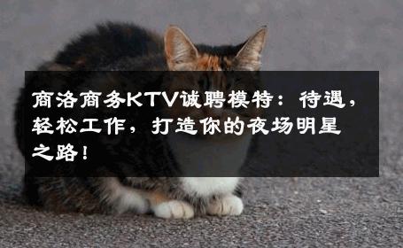 商洛商务KTV诚聘模特：待遇，轻松工作，打造你的夜场明星之路！