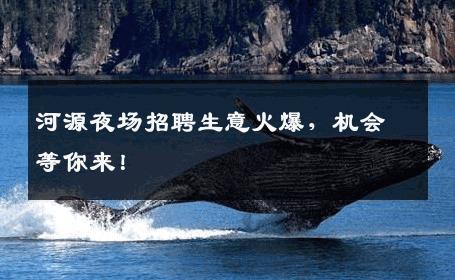 河源夜场招聘生意火爆，机会等你来！