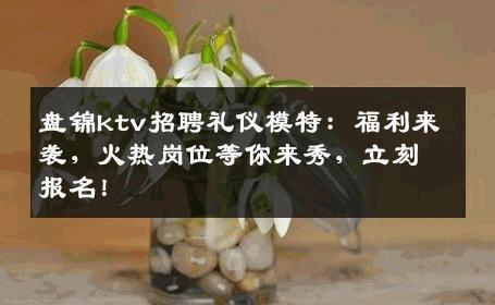 盘锦ktv招聘礼仪模特：福利来袭，火热岗位等你来秀，立刻报名！