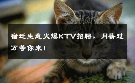 宿迁生意火爆KTV招聘，月薪过万等你来！