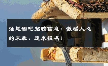 汕尾酒吧招聘信息：激动人心的来袭，速来报名！