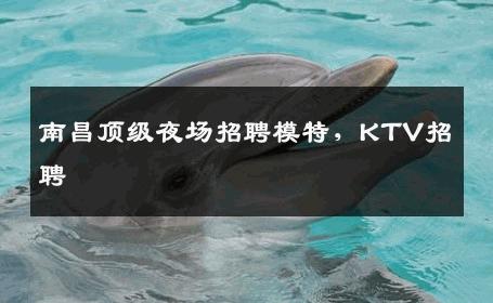 南昌顶级夜场招聘模特，KTV招聘