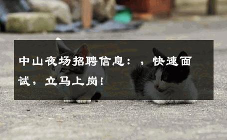 中山夜场招聘信息：，快速面试，立马上岗！