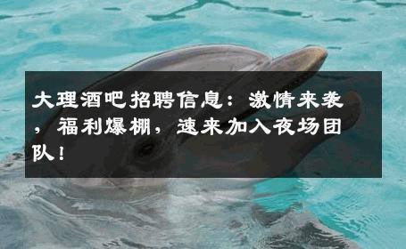 大理酒吧招聘信息：激情来袭，福利爆棚，速来加入夜场团队！