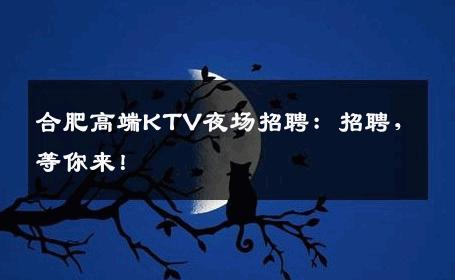 合肥高端KTV夜场招聘：招聘，等你来！