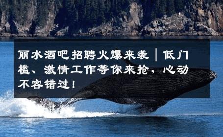 丽水酒吧招聘火爆来袭｜低门槛、激情工作等你来抢，心动不容错过！