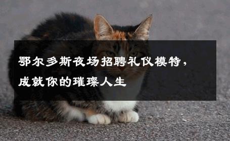 鄂尔多斯夜场招聘礼仪模特，成就你的璀璨人生