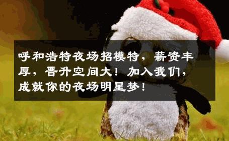 呼和浩特夜场招模特，薪资丰厚，晋升空间大！加入我们，成就你的夜场明星梦！