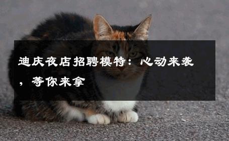 迪庆夜店招聘模特：心动来袭，等你来拿