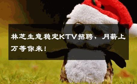 林芝生意稳定KTV招聘，月薪上万等你来！