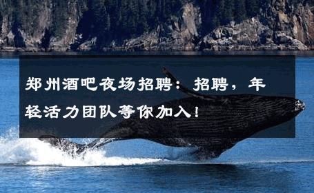 郑州酒吧夜场招聘：招聘，年轻活力团队等你加入！