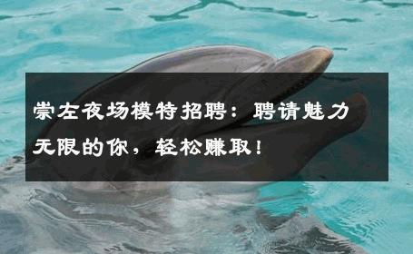 崇左夜场模特招聘：聘请魅力无限的你，轻松赚取！
