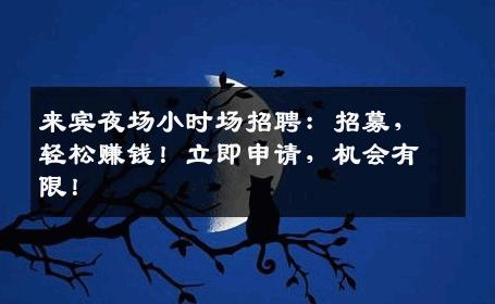 来宾夜场小时场招聘：招募，轻松赚钱！立即申请，机会有限！
