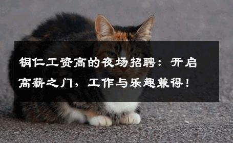 铜仁工资高的夜场招聘：开启高薪之门，工作与乐趣兼得！