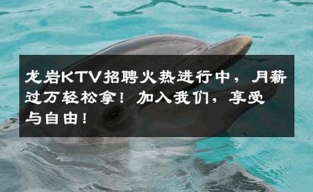 龙岩KTV招聘火热进行中，月薪过万轻松拿！加入我们，享受与自由！