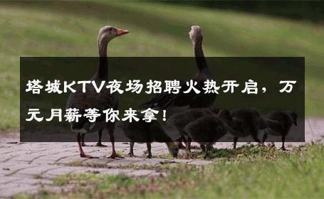 塔城KTV夜场招聘火热开启，万元月薪等你来拿！