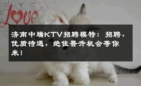 济南中端KTV招聘模特：招聘，优质待遇，绝佳晋升机会等你来！