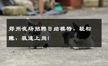 郑州夜场招聘日结模特，轻松赚，极速上岗！