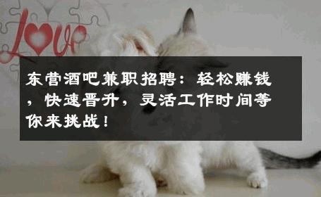 东营酒吧兼职招聘：轻松赚钱，快速晋升，灵活工作时间等你来挑战！
