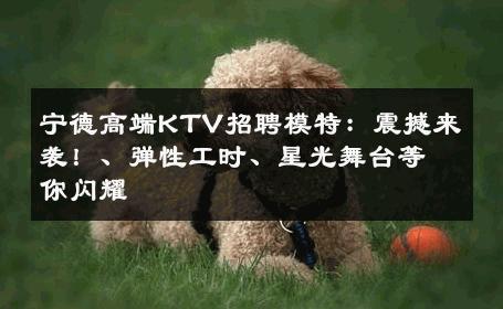 宁德高端KTV招聘模特：震撼来袭！、弹性工时、星光舞台等你闪耀