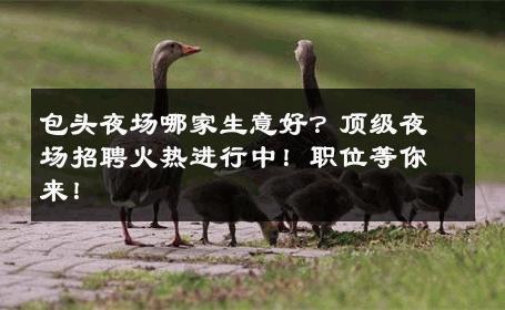包头夜场哪家生意好？顶级夜场招聘火热进行中！职位等你来！