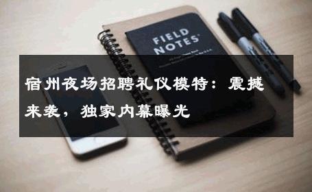 宿州夜场招聘礼仪模特：震撼来袭，独家内幕曝光