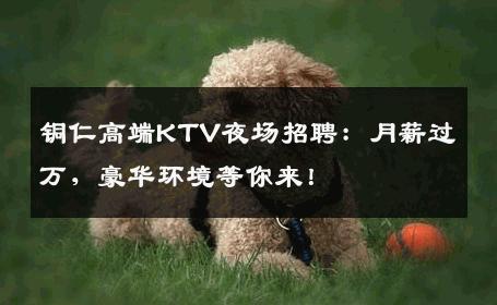 铜仁高端KTV夜场招聘：月薪过万，豪华环境等你来！