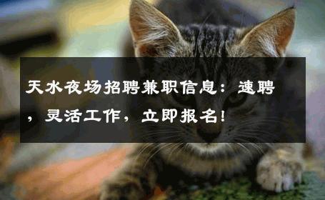 天水夜场招聘兼职信息：速聘，灵活工作，立即报名！