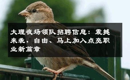 大理夜场领队招聘信息：震撼来袭，自由、马上加入点亮职业新篇章