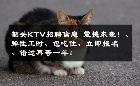 韶关KTV招聘信息 震撼来袭！、弹性工时、包吃住，立即报名，错过再等一年！