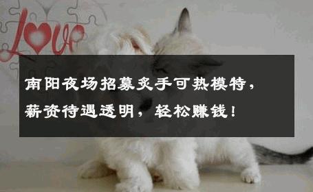 南阳夜场招募炙手可热模特，薪资待遇透明，轻松赚钱！