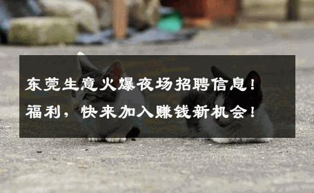 东莞生意火爆夜场招聘信息！福利，快来加入赚钱新机会！