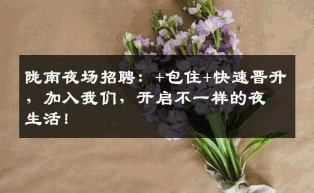 陇南夜场招聘：+包住+快速晋升，加入我们，开启不一样的夜生活！