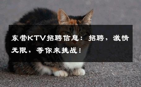 东营KTV招聘信息：招聘，激情无限，等你来挑战！