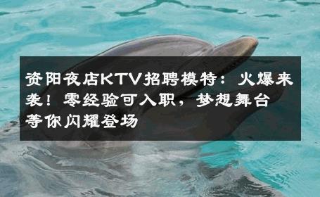 资阳夜店KTV招聘模特：火爆来袭！零经验可入职，梦想舞台等你闪耀登场