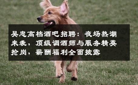 吴忠高档酒吧招聘：夜场热潮来袭，顶级调酒师与服务精英抢岗，薪酬福利全面披露