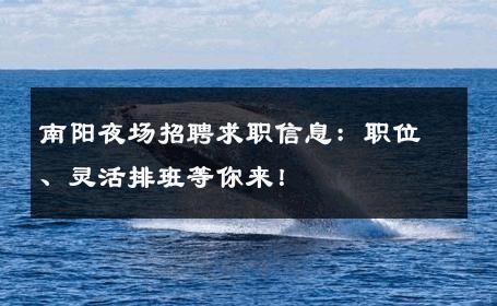 南阳夜场招聘求职信息：职位、灵活排班等你来！