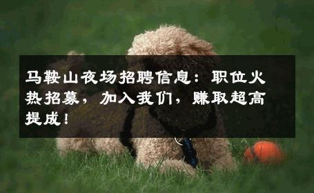 马鞍山夜场招聘信息：职位火热招募，加入我们，赚取超高提成！