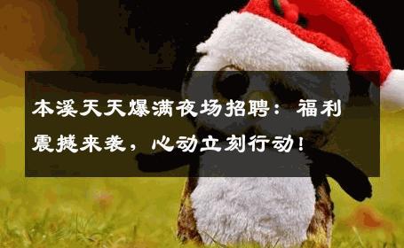 本溪天天爆满夜场招聘：福利震撼来袭，心动立刻行动！