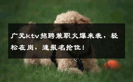 广元ktv招聘兼职火爆来袭，轻松在岗，速报名抢位！